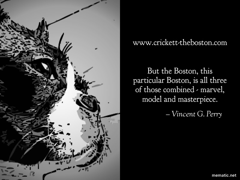 www.crickett-theboston.com